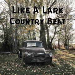 David Morris/ Country Trap (Exclusive: 70 Lease: 30 )