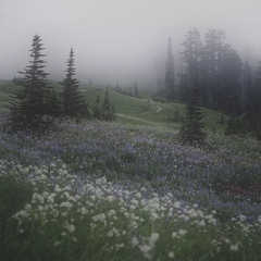 land u never talk about