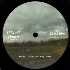 PREMIERE: Awlies - Rainy Days In Belleville [UDontDance]