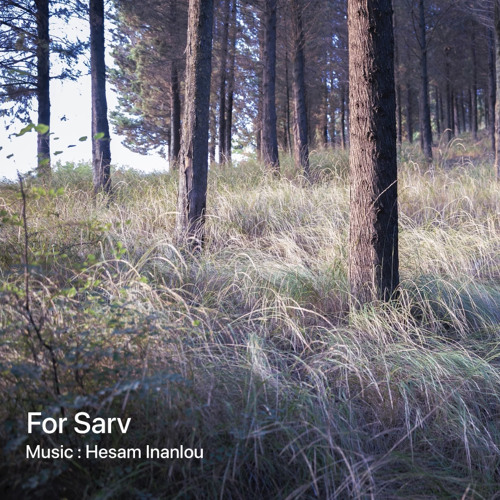 for sarv