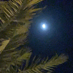 لا تعذر حبيبي ميحد حمد - بطئ