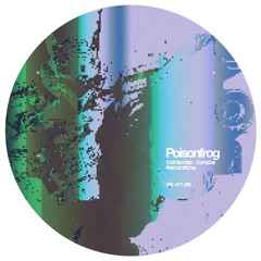 Cordycep Jungle @ Jungletrain.net (05-07-2025)