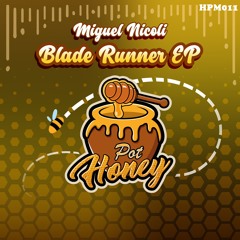Miguel Nicoli - Broken System (Original Mix)
