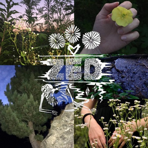 Zed-Learning Gardening (Demo)