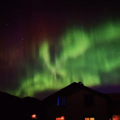 Exulansis (Maybe Final)