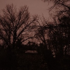 Bothering (Prod. Caves)