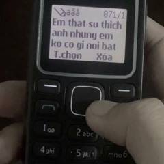 HƯƠNG HOA PHAI TÀN REMIX