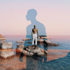 VIES VIBES - Brass & Shore