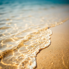 Float