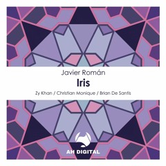Javier Román - Iris (Christian Monique Remix)