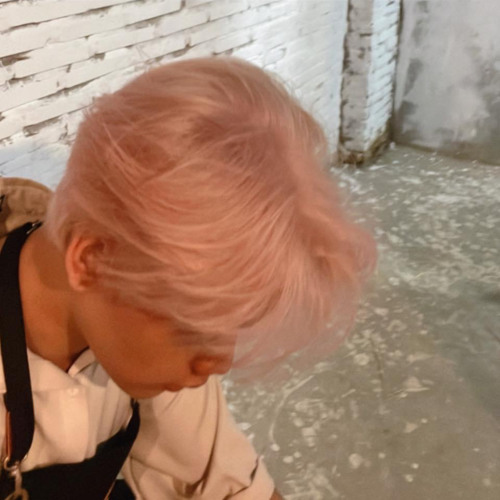 túp liều lý tưởng Mía cover