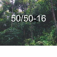 50/50-16