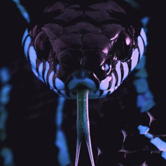 DRONES WITH VENOM INSIDE (unmastered)