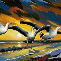 A dança dos albatrozes