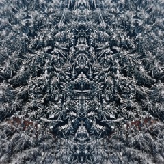 CARBON