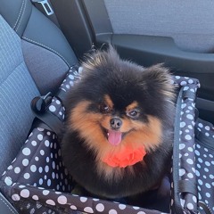 Technique camers edit