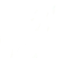 in this bitch workin