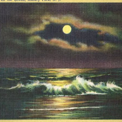 (200$) confissões (rnb)