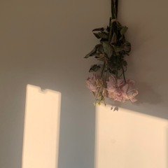 Sparks✨Coldplay cover