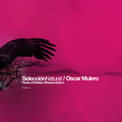 Seleccion Natural Parte 4 (Original Mix)