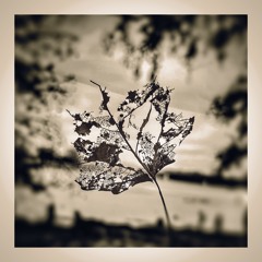 Shammael - Autumn Is Comeing