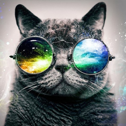 BDGR - Tech This Out