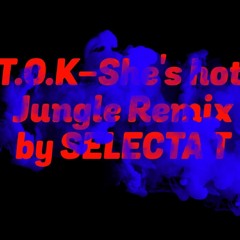 T.O.K feat. Pitbull - She´s hotta Ragga Jungle Remix by SELECTA T