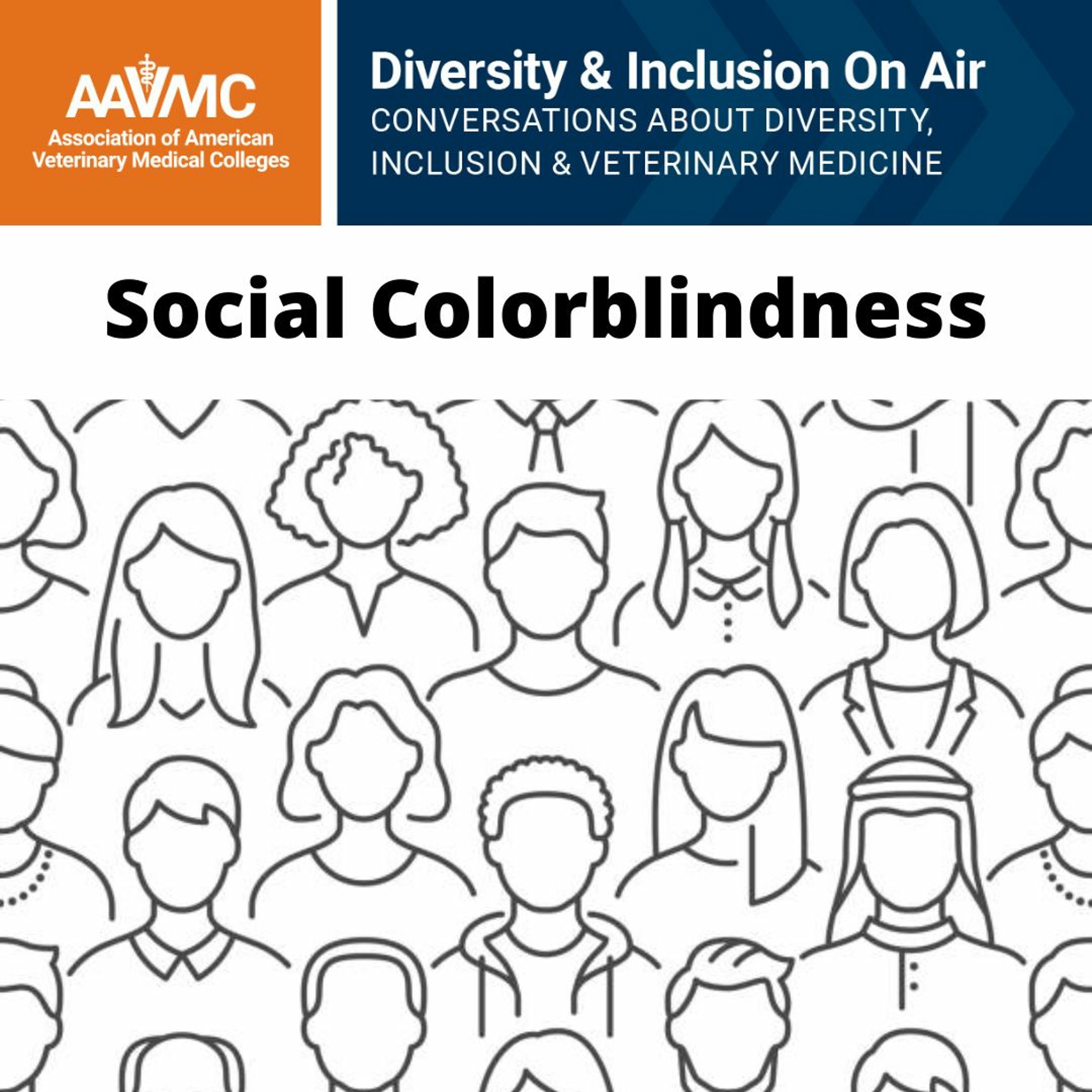 AAVMC\'s On Air: Conversations about Issues in Veterinary Medicine