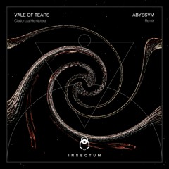Vale Of Tears - Sleepwalking (Abyssvm Rmx)