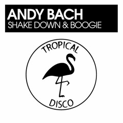 PREMIERE : Andy Bach - Shake Down & Boogie