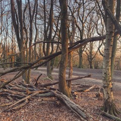 Isolation || Hampstead Heath