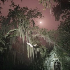 focus on yourself luv