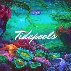 Tidepools (feat. HZU & Tony Driftin)