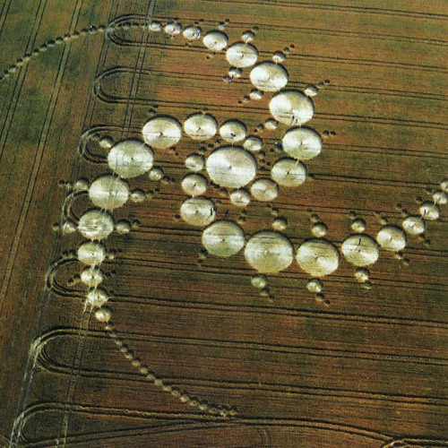 Crop Circle