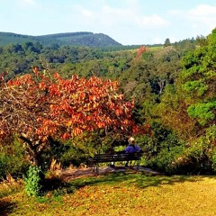 Adventure Time (Prod.by davesocozy)