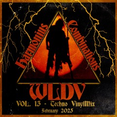WLDV - Harmonious Combinations Vol.13 - Feb 2025 Techno VinylMix