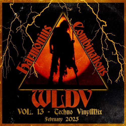WLDV - Harmonious Combinations Vol.13 - Feb 2025 Techno VinylMix