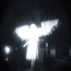 pepel(Trinnykx flip)