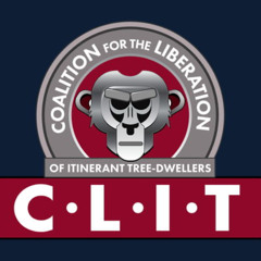 C.L.I.T Commander (DJ Set)