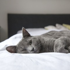 Green Soft Soothing Shusher