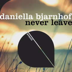 Never Leave (Extended Mix)