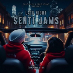 Late Night Senti Jams - DJ Double S - Punjabi RnB Mashup 2023