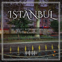 Istanbul NearSueleymaniyeCamii ComercialStreet SeaGulls Traffic Night 1