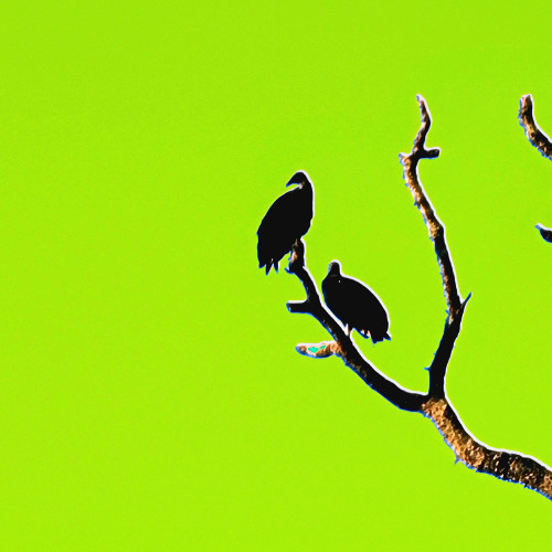 leaving before the summer