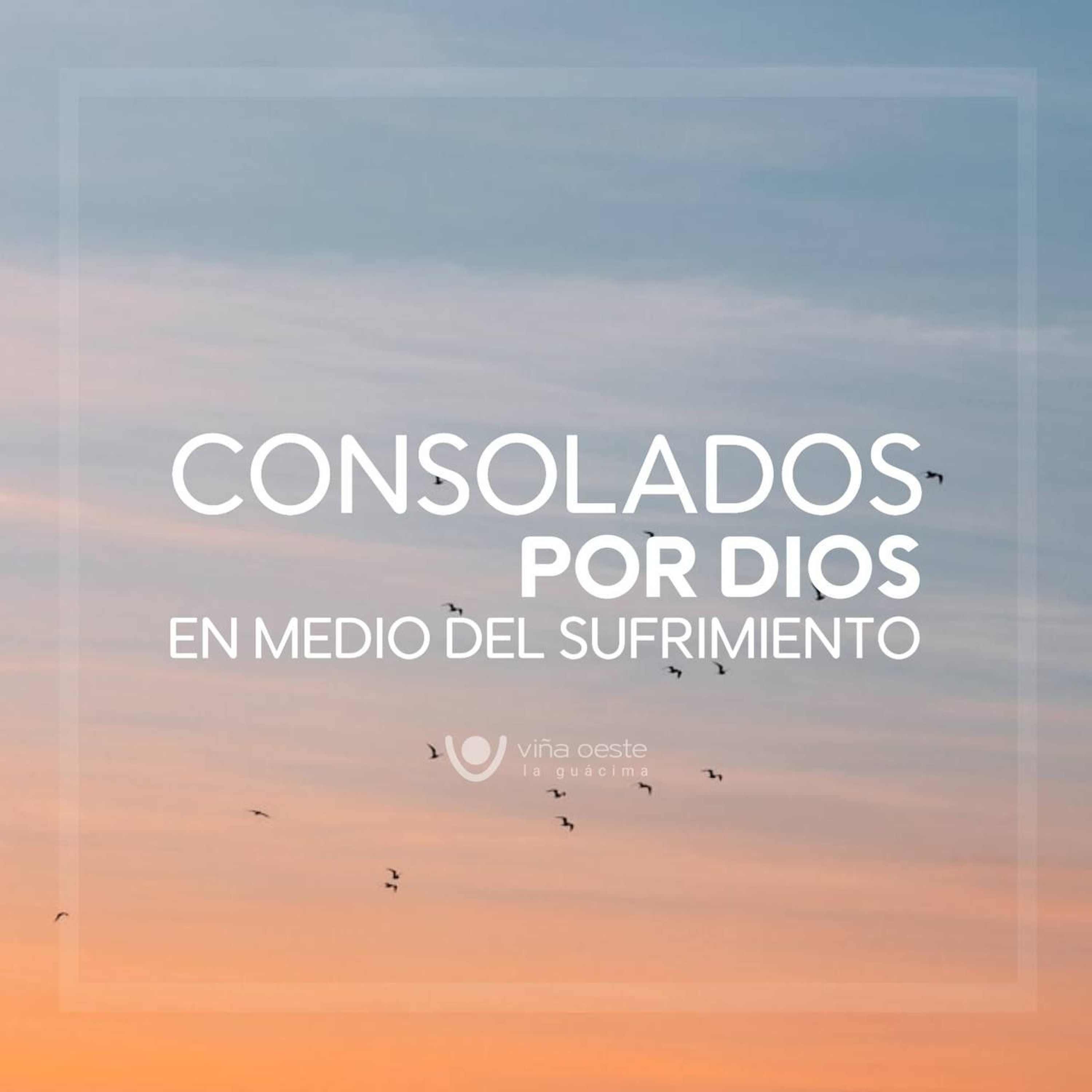 04 - 07 - 2026 - Consolados por Dios en medio del sufrimiento - Rony Ramos episode artwork