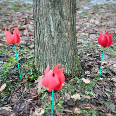 Fragrant blooms of a concrete garden