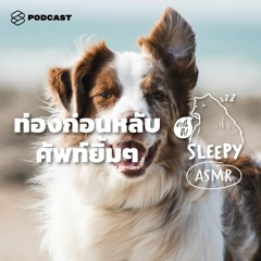 คำนี้ดี SLEEPY EP.31 ASMR | ท่องก่อนหลับ ศัพท์ยิ้มๆ (Sea Breeze Mix V.)