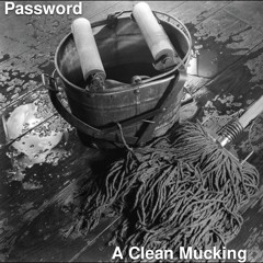 1 A Diamond in the Rough