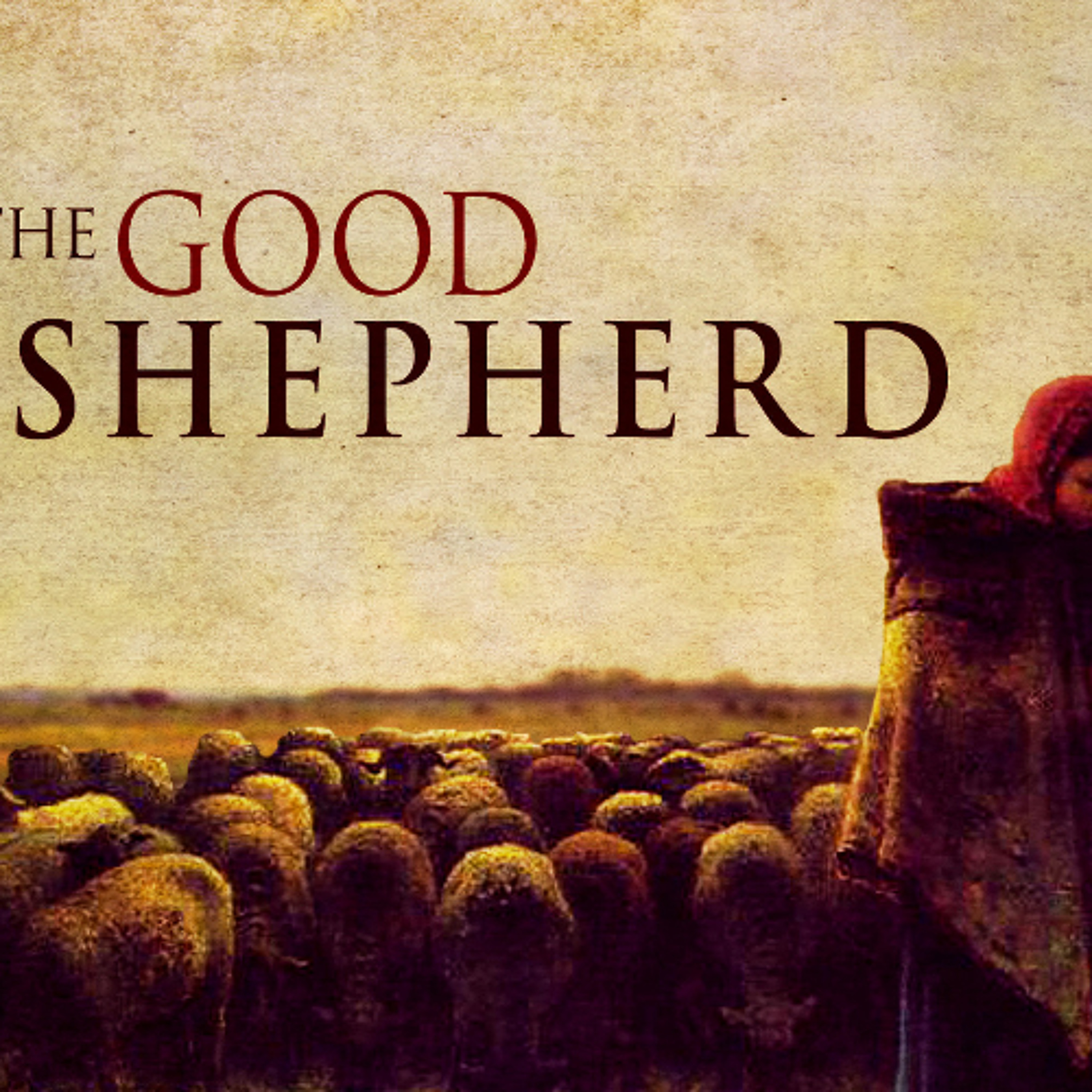 Shaped by The Shepherd