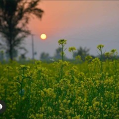 Dil  Mera Todengi_Garry Sandhu new song